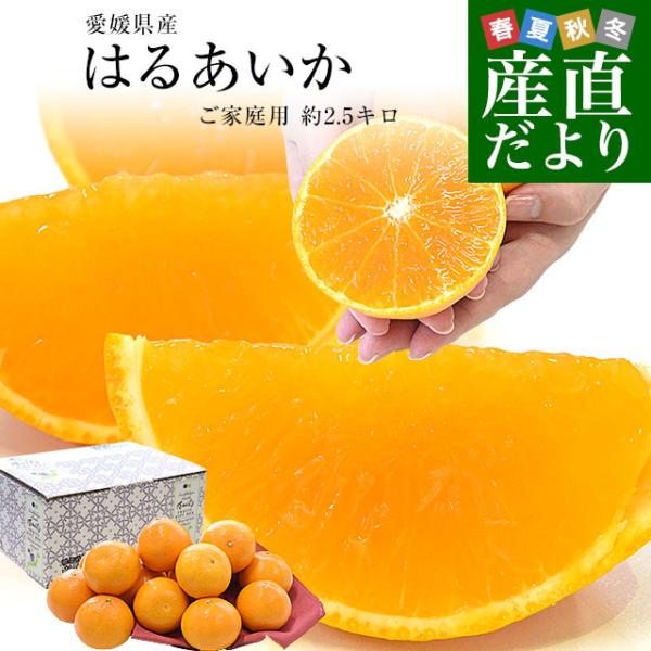 愛媛県産「はるあいか」ご家庭用 約2.5キロ2LからLサイズ(10玉から14玉前後入り) 送料無料 ...