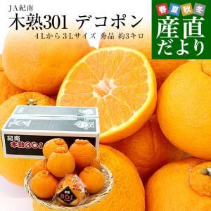 和歌山県 JA紀南 木熟301 デコポン ４Lから３Lサイズ 秀品 約3キロ（８玉から10玉前後） 柑橘 かんきつ 送料無料｜sanchokudayori