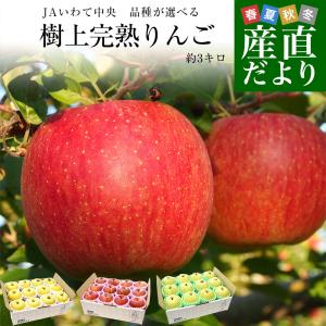 岩手県産 JAいわて中央　品種が選べる　極旨！樹上完熟りんご　約3キロ（10玉から12玉）送料無料 リンゴ アップル あっぷる