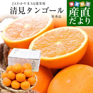 和歌山県 JAわかやまAQ選果場 清見タンゴール 特秀品 糖度12度以上 約3キロ 2LからMサイズ （12玉から20玉前後） 送料無料 柑橘 オレンジ 爆買