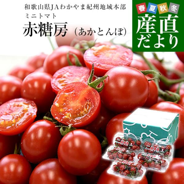 和歌山県 JAわかやま紀州地域本部 ミニトマト 赤糖房（あかとんぼ）秀品 約800g（約160g×5...