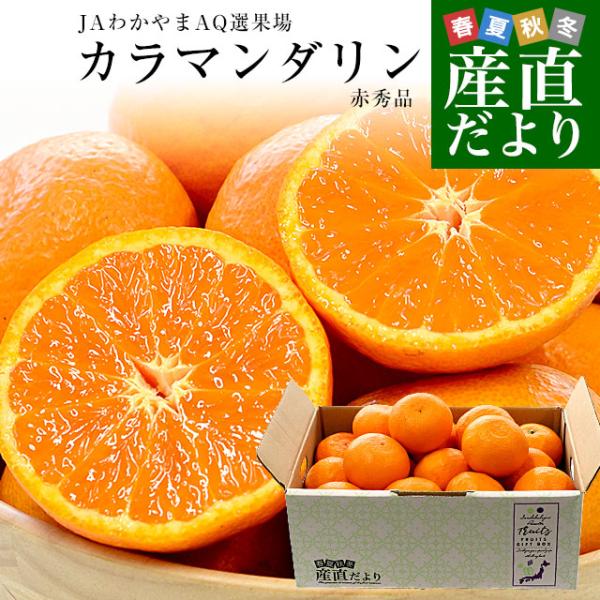 和歌山県 JAわかやまAQ選果場 カラマンダリン TOPグレード赤秀品 約2.5キロ 2LからMサイ...
