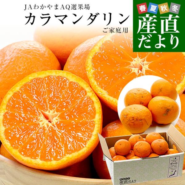 和歌山県 JAわかやまAQ選果場 カラマンダリン ご家庭用 約2.5キロ 2LからMサイズ (15玉...