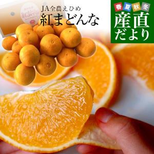 愛媛県産JA全農えひめ 紅まどんな3LからMサイズ 5キロ(17玉から35玉前後) オレンジ おれんじ 送料無料