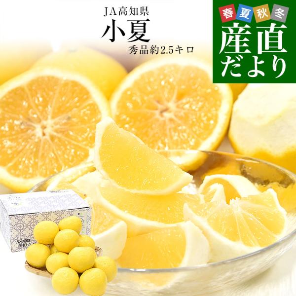 高知県産 JA高知県 小夏 秀品 約2.5キロ 2Lサイズ（11玉前後）送料無料 柑橘 かんきつ こ...