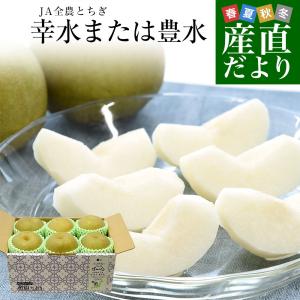 栃木県 JA全農とちぎ 幸水梨 秀品 約1.8キロ (5玉から6玉) 送料無料 なし ナシ 幸水 こうすい爆買