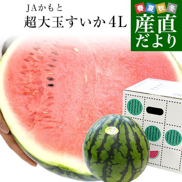 【緊急スポット】熊本県 JAかもと 超大玉すいか 9キロ以上（1玉）4Lサイズ 秀品 送料無料 スイ...