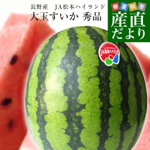 長野県産　JA松本ハイランド　大玉スイカ　秀品　4Lから5Lサイズ　9キロ以上　1玉入り　送料無料　西瓜　すいか爆買