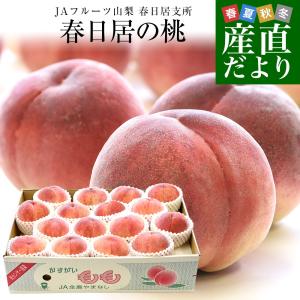 山梨県産 JAフルーツ山梨 春日居支所 春日居の桃 青秀品 5キロ(15玉から16玉入り) 送料無料 かすがい 笛吹市 クール便