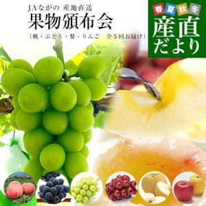 JAながの 産地直送　果実頒布会（桃・ぶどう・梨・りんご　8月から12月まで５回お届け）