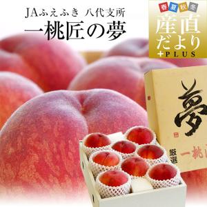 山梨県より産地直送 JAふえふき八代支所 八代の桃 超特選 一桃匠の夢 3キロ (7玉から9玉) 送料無料 富士の国やまなしの逸品農産物 笛吹 もも モモ