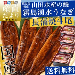 ギフトにも最適! 鹿児島県志布志産 山田水産 ...の詳細画像1