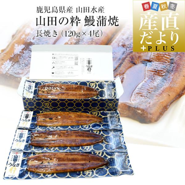 鹿児島県産 山田水産の極上国産うなぎ蒲焼「山田の粋（やまだのいき）」長焼（120g×4尾）送料無料 ...