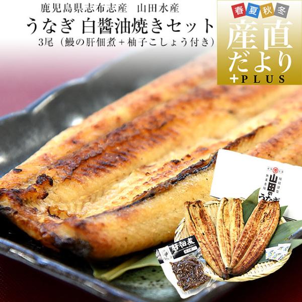 鹿児島県志布志産 山田のうなぎ白醤油焼きセット「白醤油焼き160g前後×3尾」＋「鰻の肝佃煮40g」...
