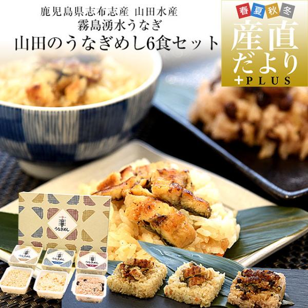 鹿児島県志布志産 山田水産 山田のうなぎめし6食セット 3種×各2食 （うなぎおこわ、うなぎちらし寿...