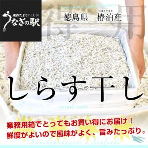 豊洲市場から直送 徳島県椿泊産 しらす干し 1キロ入り