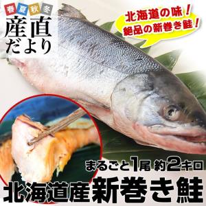 送料無料　北海道産　新巻き鮭（甘塩）まるごと　1尾　約2キロ　さけ　サケ