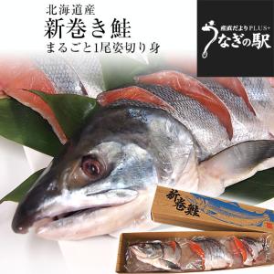 北海道より直送　新巻鮭 姿切り身 大型の鮭 まるごと1...