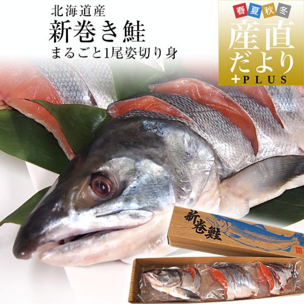 北海道より直送　新巻鮭 姿切り身 大型の鮭 まるごと1尾分 約2.5キロ 送料無料　北海道サケ シャ...
