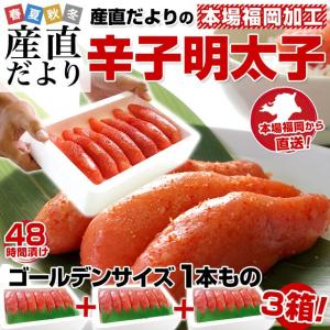 送料無料 福岡加工 辛子明太子 ゴールデンサイズ 1本もの ...