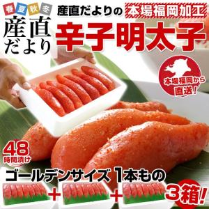 送料無料　福岡加工　辛子明太子　ゴールデンサイズ　1本もの　約280g(6から7本)×3箱