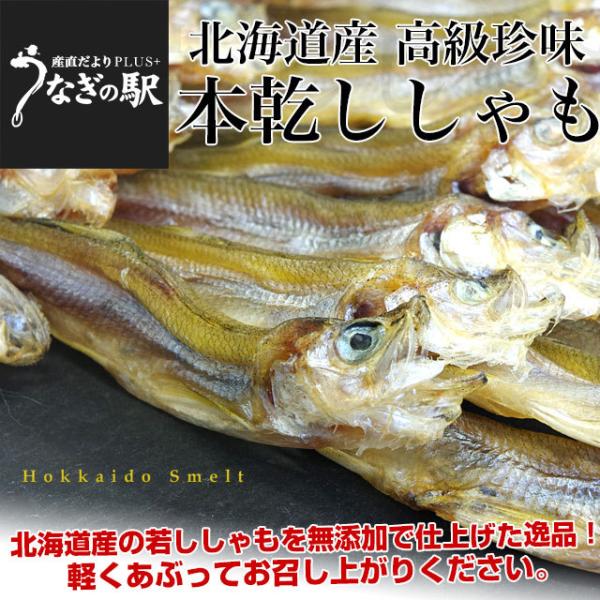 北海道から直送 北海道産 高級珍味 本乾ししゃも 4袋セット（25g×4P） 送料無料