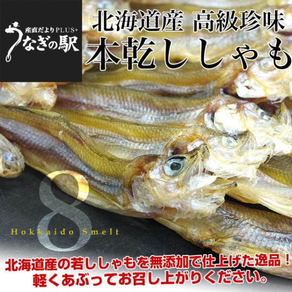 北海道から直送 北海道産 高級珍味 本乾ししゃも 8袋セット（25g×8P） 送料無料