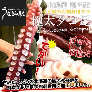 北海道産 孝子屋のお刺身用 極太タコ足 浜ゆでの超特大サイズ 1本 800g 送料無料 ※クール冷凍便