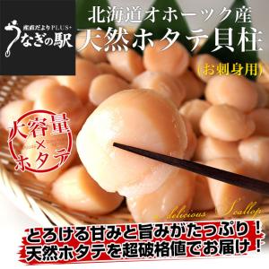 北海道より直送 北海道オホーツク産 天然ホタテ 玉冷