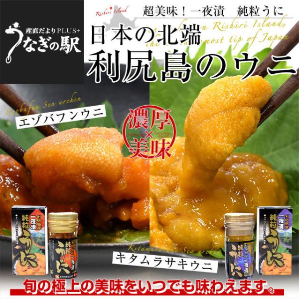 北海道 利尻島産 一夜漬 純粒うに（エゾバフンウニ）＋純粒うに（キタムラサキウニ） 60g×2本セッ...