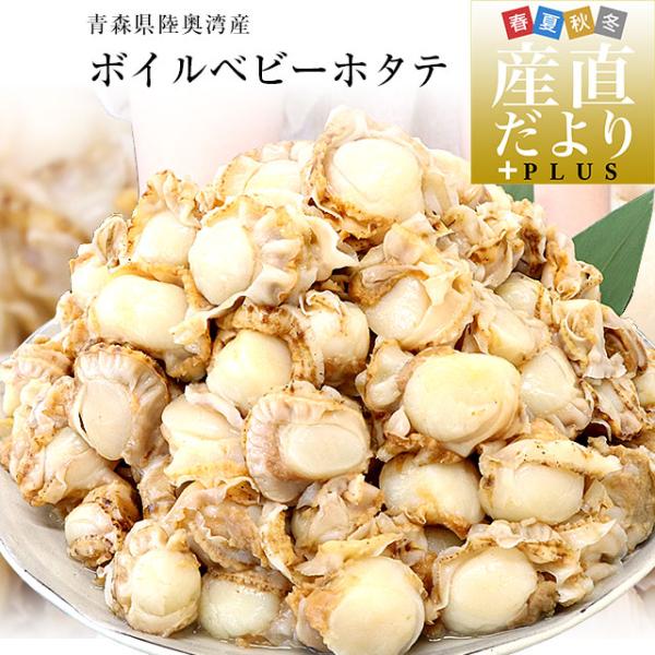 青森県陸奥湾産 ボイルベビーホタテ 1キロ MからSサイズ（100粒から150粒） 送料無料 帆立 ...