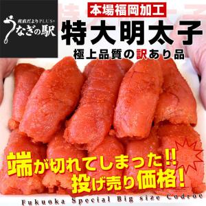 福岡県より直送 福岡加工 辛子明太子（端切れ）特大サイズ