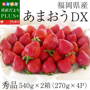 福岡県産 大人気いちご 博多あまおう たっぷり2箱 1080g (合計32粒から48粒)(540g×2箱) 送料無料 アマオウ 農協 苺 イチゴ