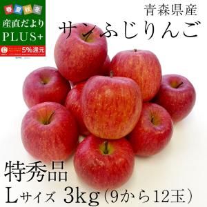 青森県産　サンふじりんご　 特秀品　Lサイズ　3キロ (9玉から12玉) 送料無料 ふじりんご　林檎 　冬ギフト　お歳暮