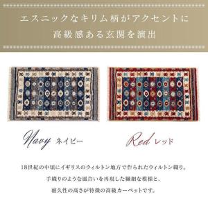 玄関マット 60 90 室内 屋内 フロアマッ...の詳細画像1