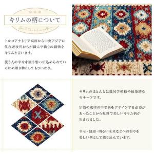 玄関マット 60 90 室内 屋内 フロアマッ...の詳細画像2