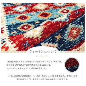 玄関マット 60 90 室内 屋内 フロアマッ...の詳細画像3