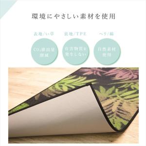い草 ヨガマット 畳 日本製 国産 おしゃれ ...の詳細画像3