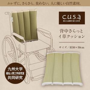 エックスフォーティナイン ライフウェーブ X49 パッチシール 30枚 説明