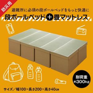ダンボールベッド 組み立て式 コンパクト収納 防災グッズ 在宅避難 日本製 防災 段ボールベッド 収納付き 避難所用 簡易ベッド 高強度 工具不要