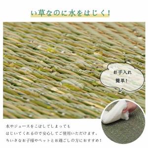 い草 ラグ カーペット ござ 正方形 2畳 約...の詳細画像4