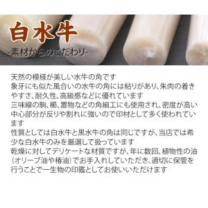 印鑑 白水牛 16.5mm×60mm 個人印 ...の詳細画像1