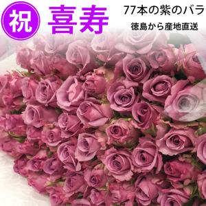 77歳の誕生日プレゼント 77本のバラの花束 紫 50cm 喜寿祝い 無料ラッピング フラワーギフト 還元 5 New売り切れる前に 宅配便 全国送料無料 キャッシュレス
