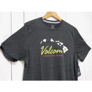 VOLCOM　ボルコム・ハワイ　半袖Tシャツ　HOPPER BIG ISLAND　USA直輸入モデル...