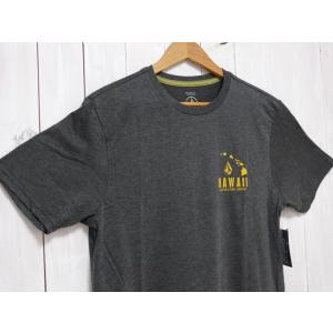 VOLCOM　ボルコム・ハワイ　半袖Tシャツ　NEO CIRCLE　USA直輸入モデル　★クリックポ...