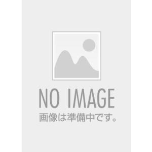 3極当局の指摘事例にみるラボにおけるデータ記録・管理と電子化への移行