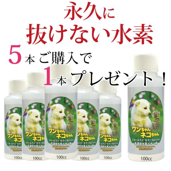 水素が抜けない 水素水 犬 ペット｜ネコ 猫 水 ドリンク 動物 ペット用　送料無料 100cc5本