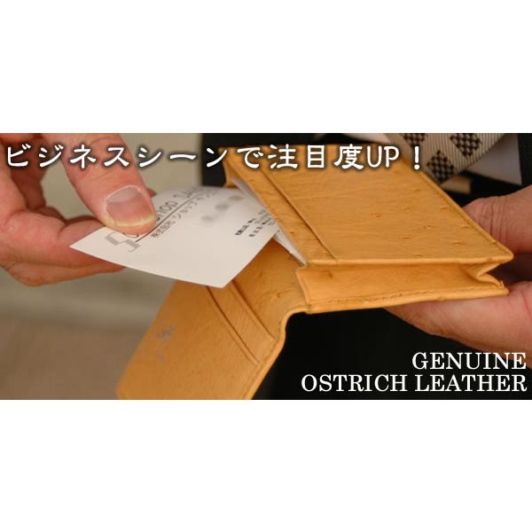名刺入れ オーストリッチ　【ostrich】