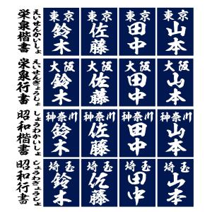 正藍染紺反 縁縫クラリーノタイプ 毛筆書体 名...の詳細画像4