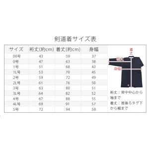 ミツボシ ヴィクシアクールライト 晒剣道衣の詳細画像5